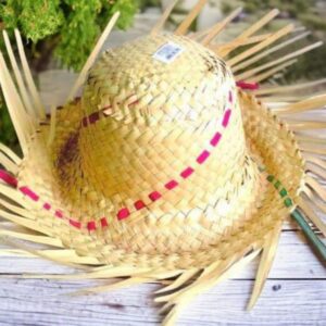 Beach pan Natural Seagrass Palm Leaf Straw hat